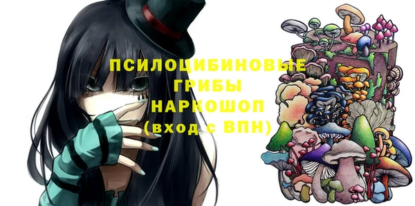 ПСИЛОЦИБИНОВЫЕ ГРИБЫ Бронницы