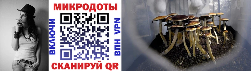 Псилоцибиновые грибы Cubensis  Карталы 